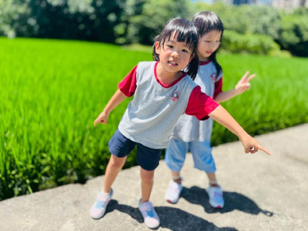 和大自然一起散步