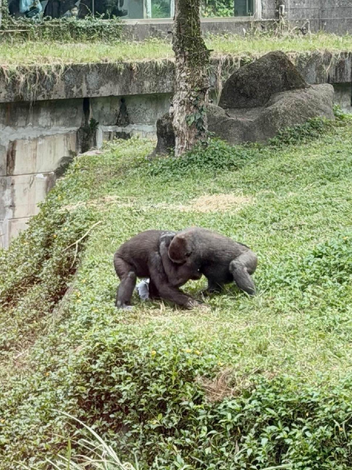 6e950021-e3e4-4810-bf84-e79ed4c88f7a