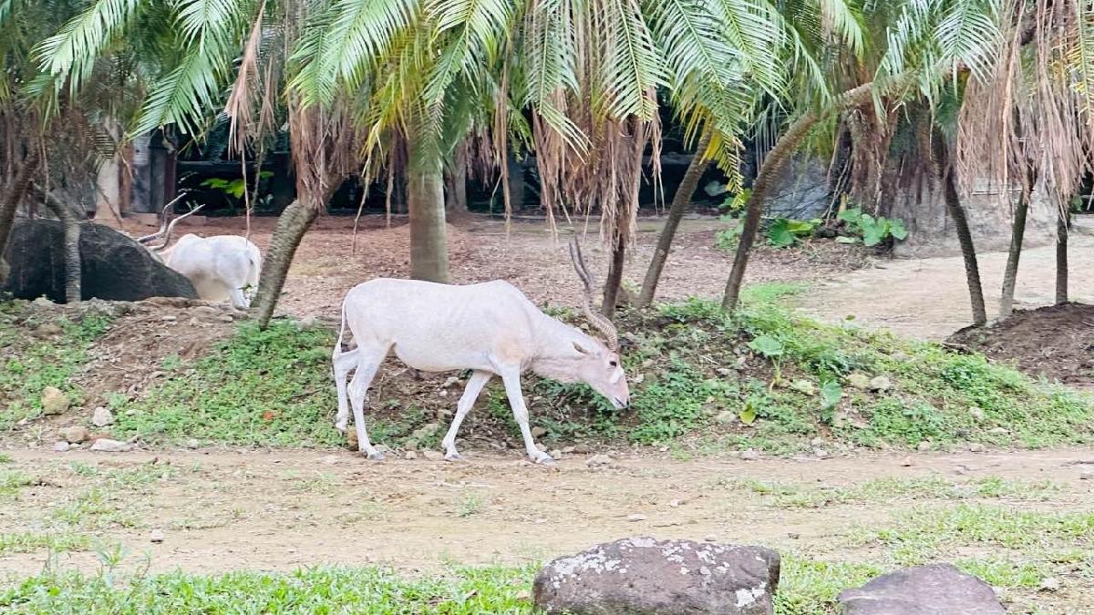 a2239924-e218-4809-81e5-84b1acc94828