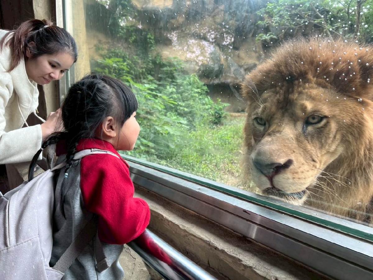 2def6a6d-cd73-4f79-83d7-39116a82ee24