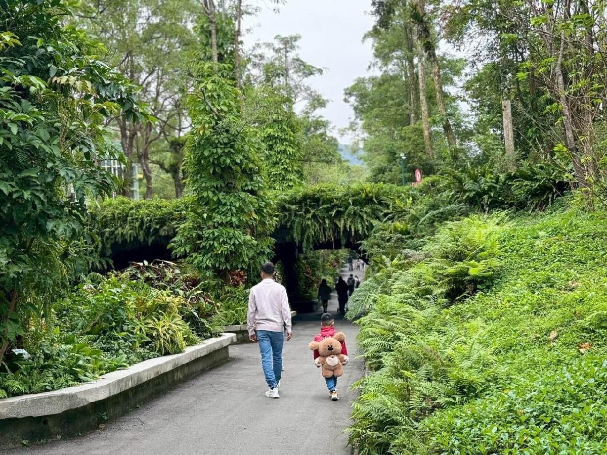 d0a3bf88-695c-43a0-8d38-56fa9a53eaeb