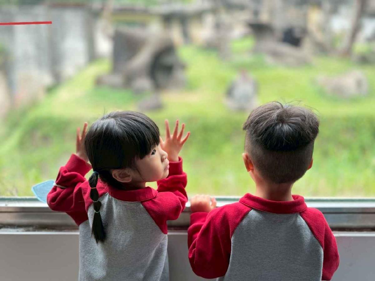 line_album__251127_1