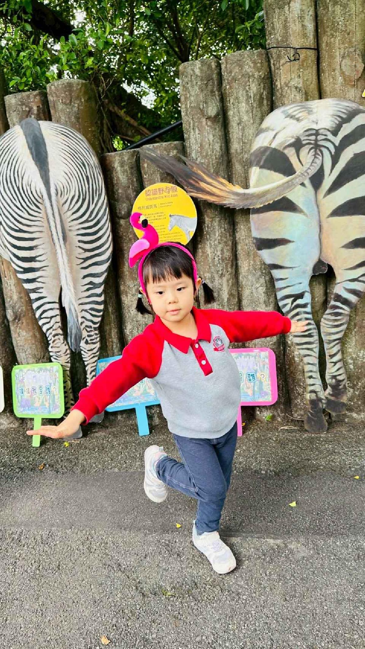 line_album_11.25動物園之旅_251127_113