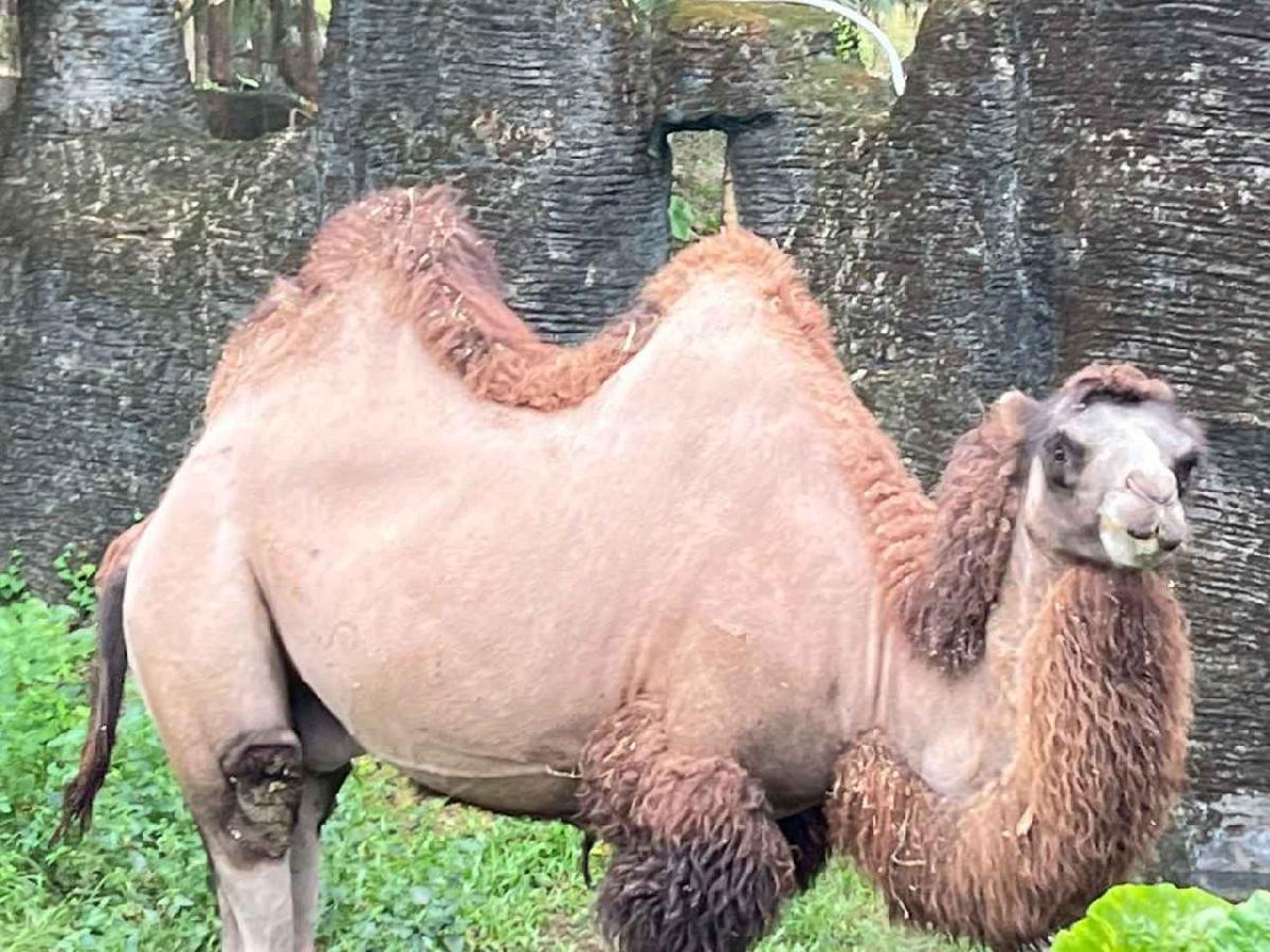 line_album_2025.11.26_251127_21