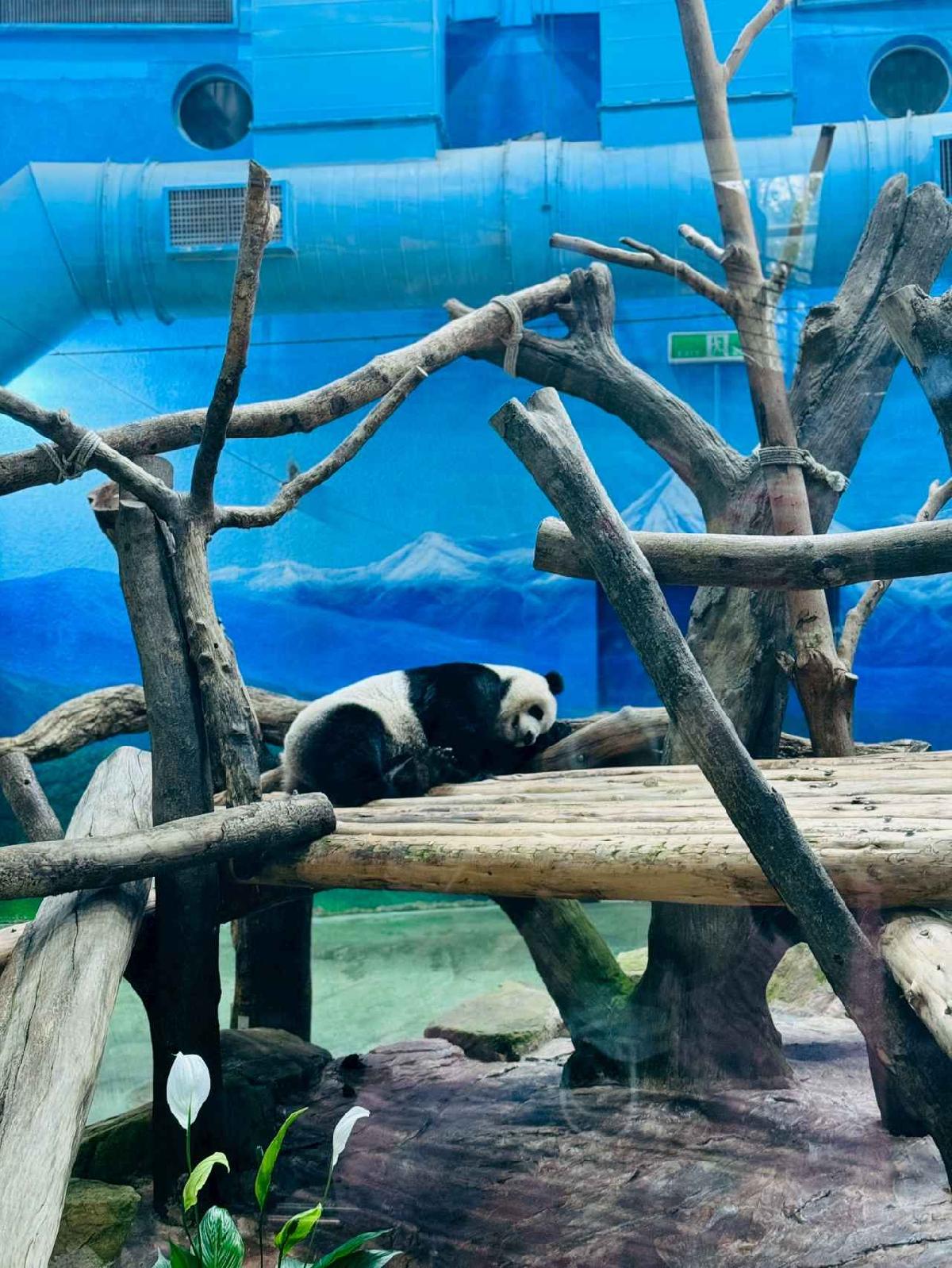 line_album_20251125 _2_251127_28