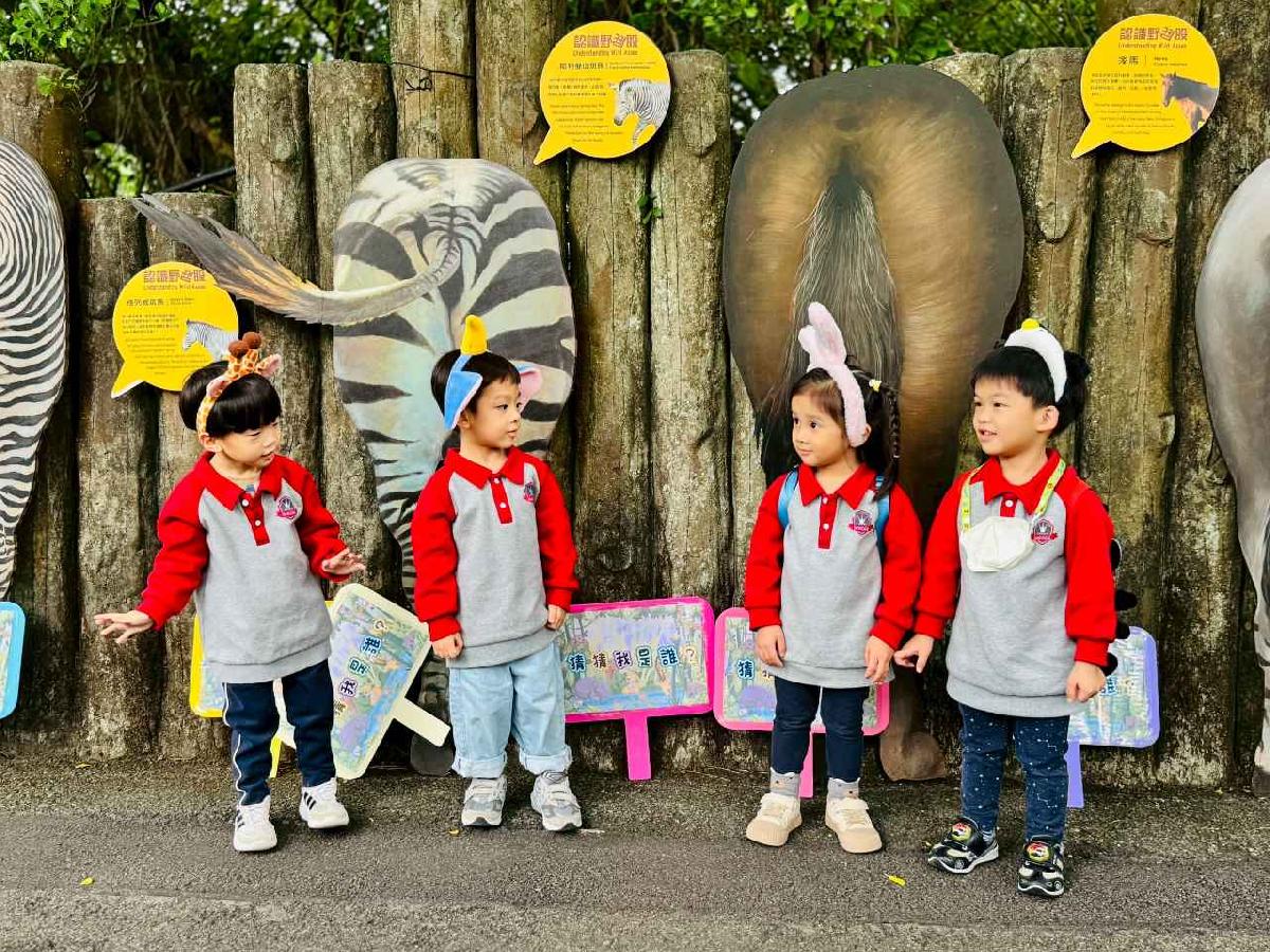 line_album_20251125_251127_113