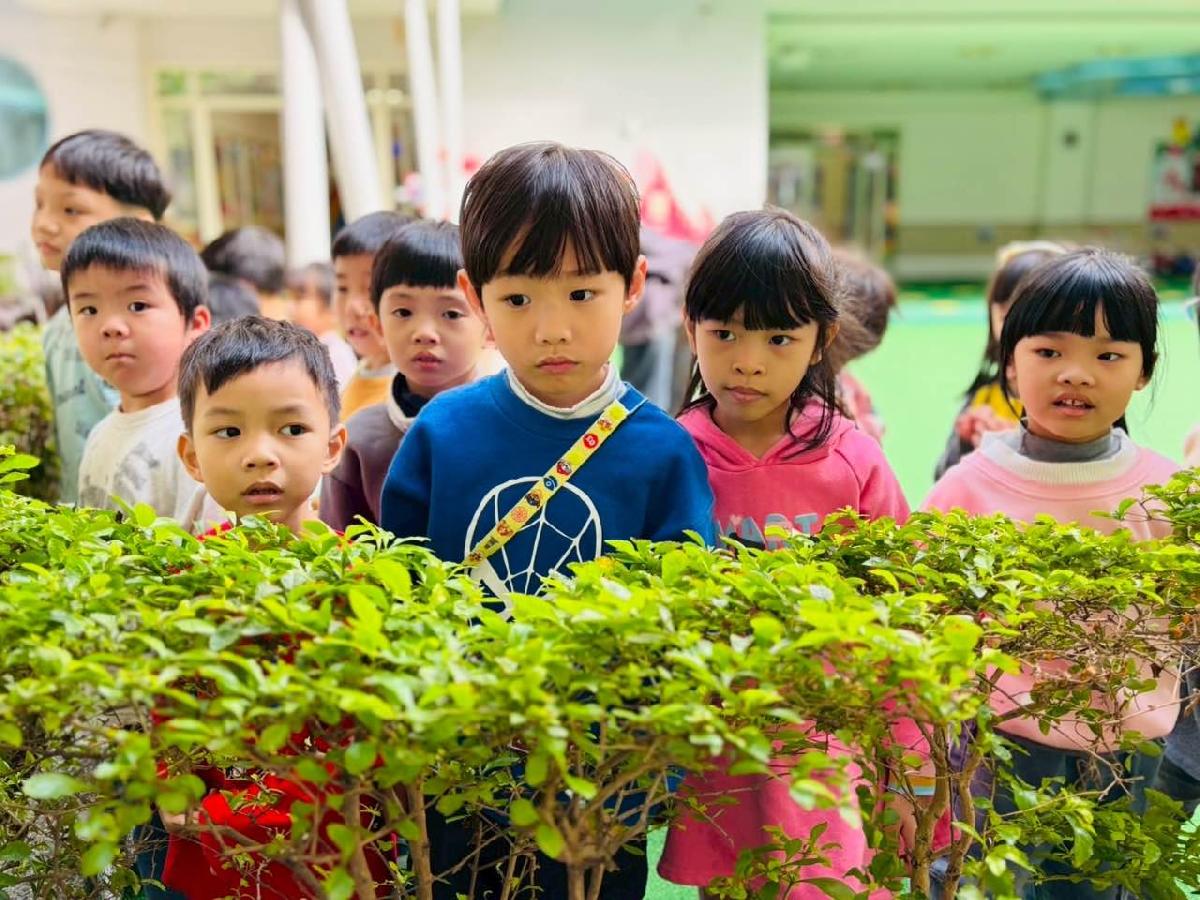 fc9c8ce2-ace1-49e3-9237-7f31c1b8f535