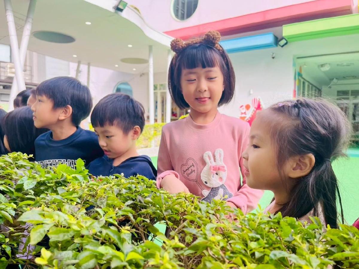 3771d5c4-f978-496a-ad52-fe059712b126