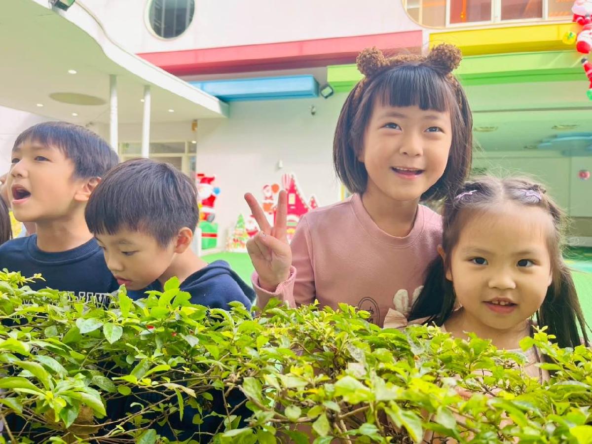 5b0a8e64-c4c9-46c7-b26e-fde670169d77