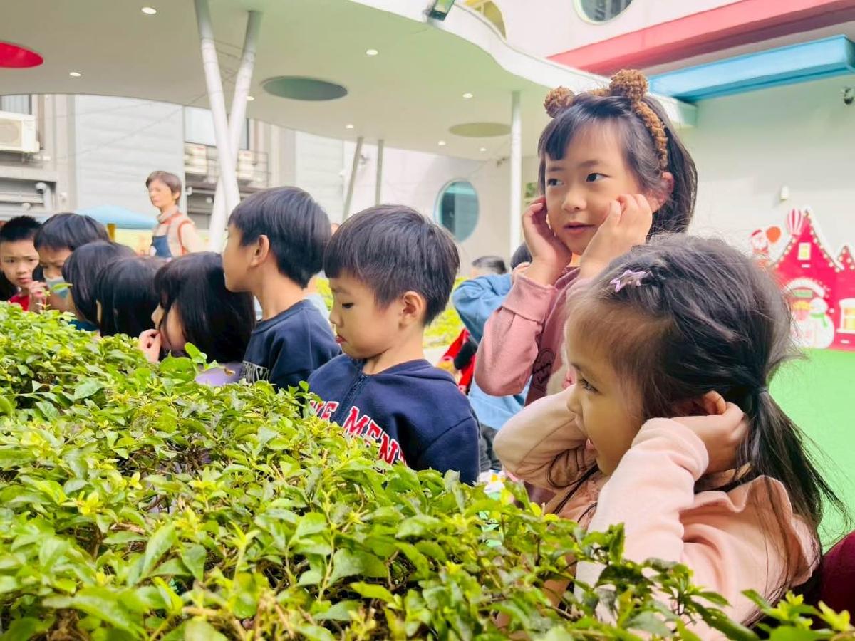 795a17fb-7a80-4df0-9f55-8863ce2bb83b