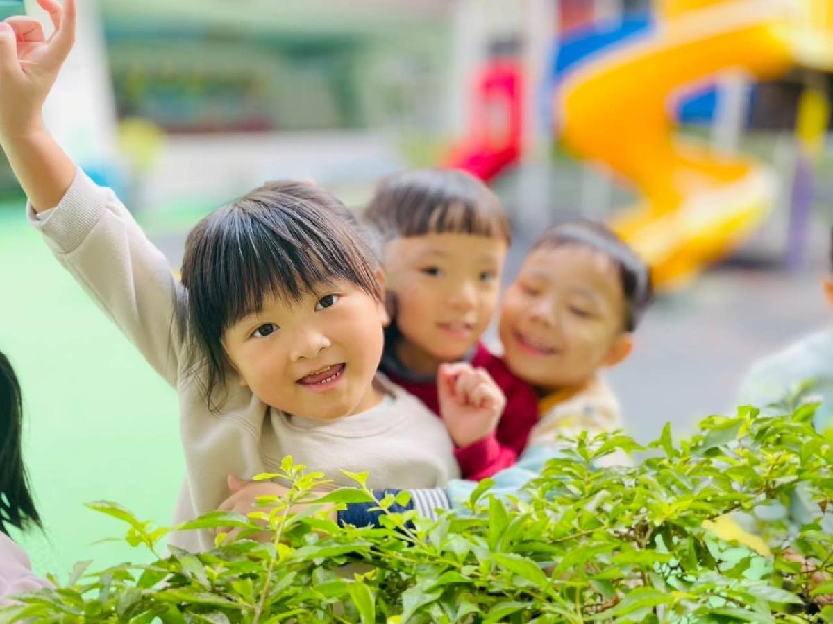 ae82ed88-45bf-4fb3-8522-61184e51d909