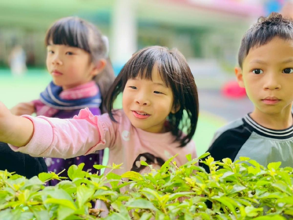 f0384d88-87d9-45b5-9e26-fdd1754c0cc6