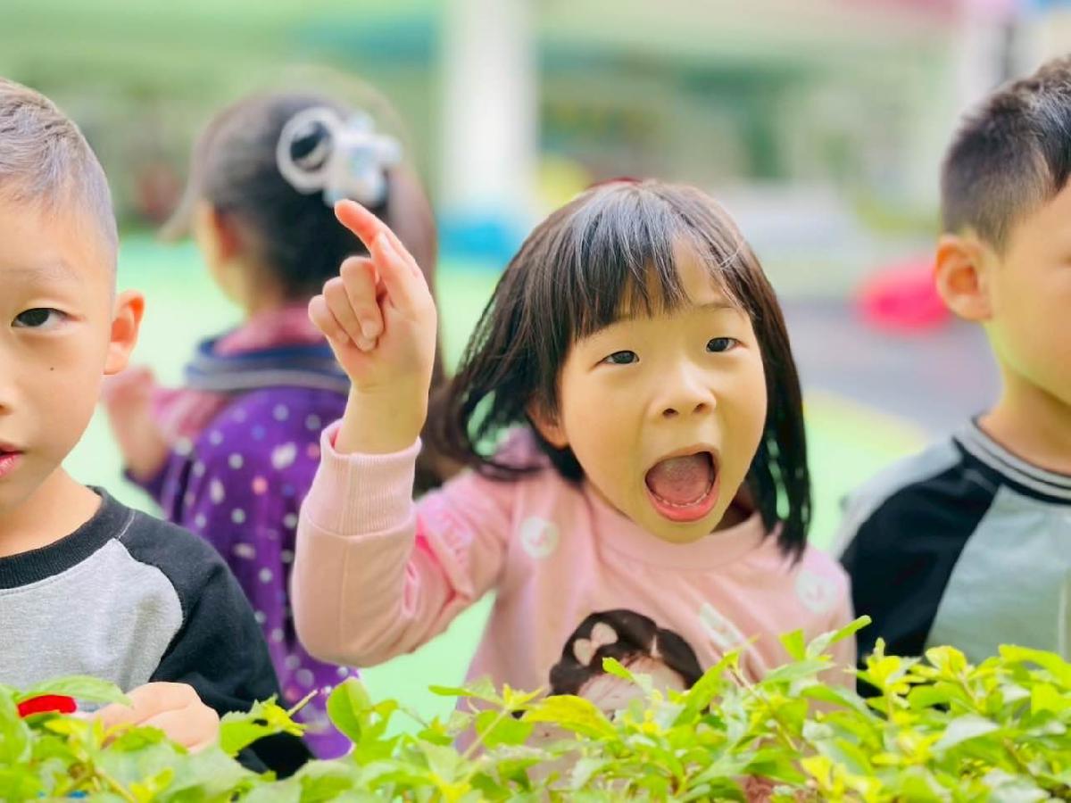 10ad0776-60c8-421e-a836-2ee76839bbea