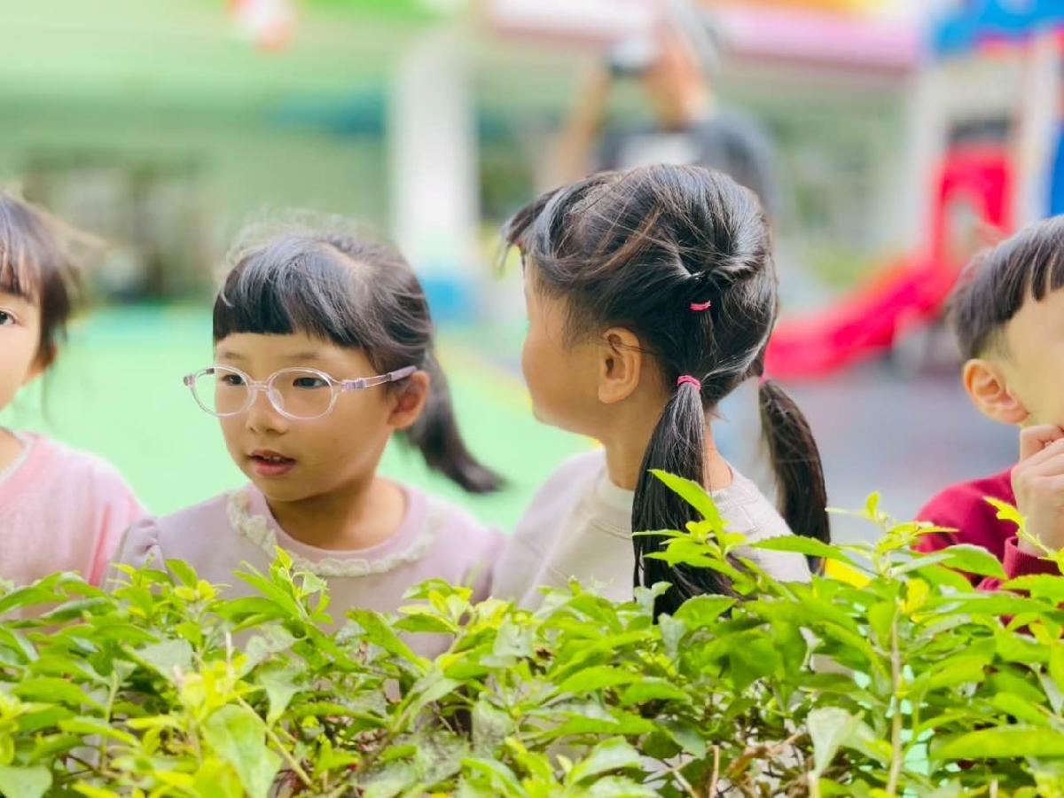 04333117-ae43-4c2e-8c14-661d4fb88c88