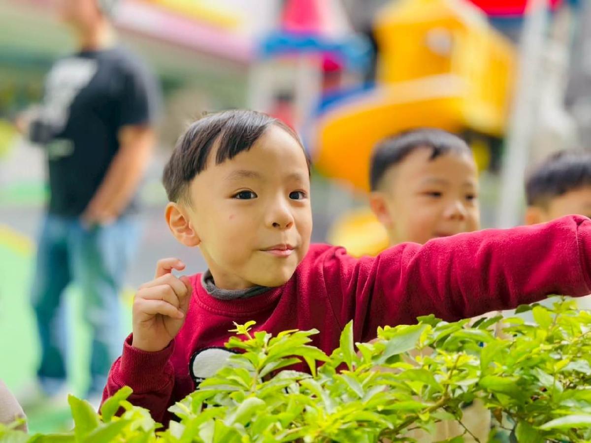 dd50c03d-635f-4042-8d67-f5d0a9f026cf