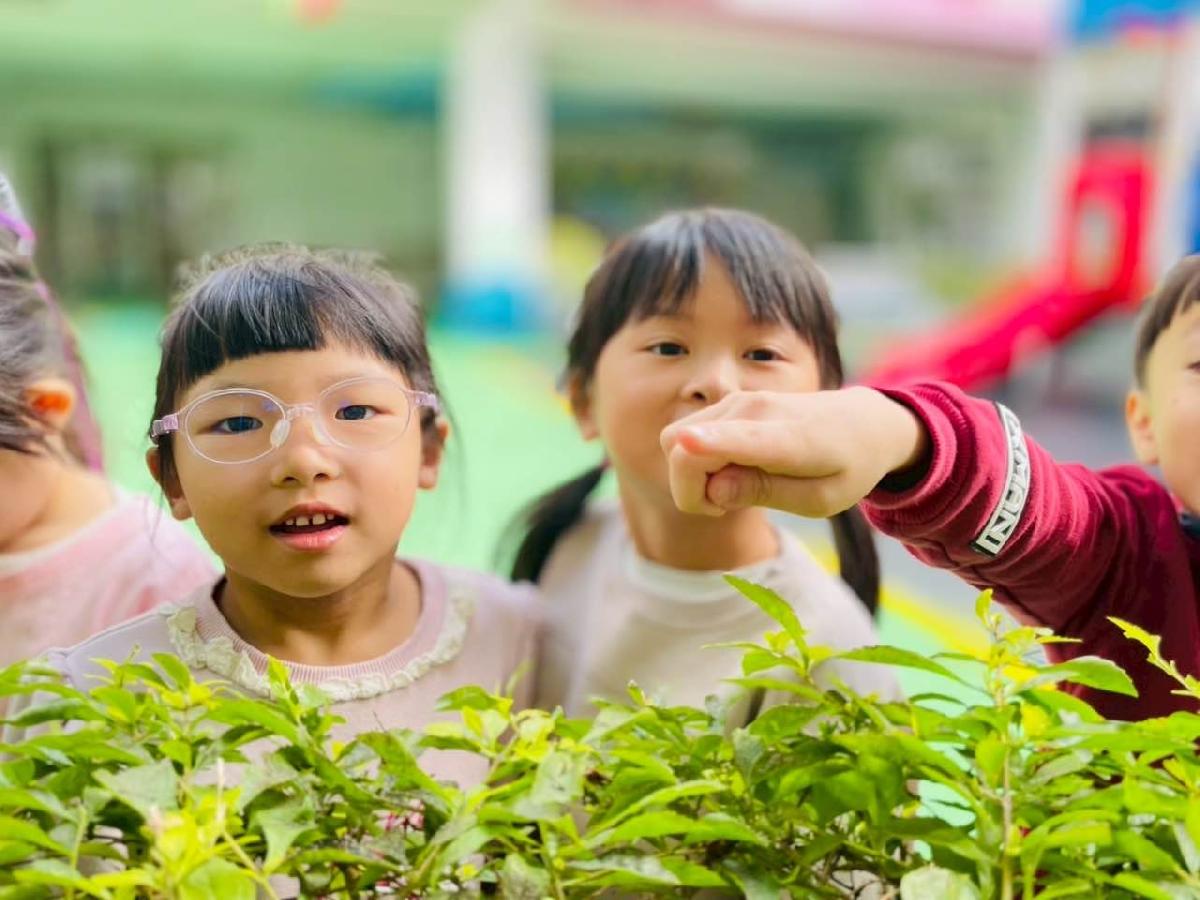 ad282a5c-b317-4abc-a980-563779185ace