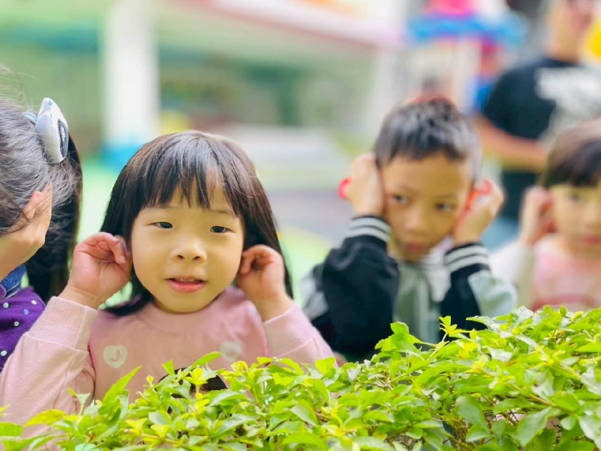 ffc69636-4a0b-453b-b049-d62aafc10272