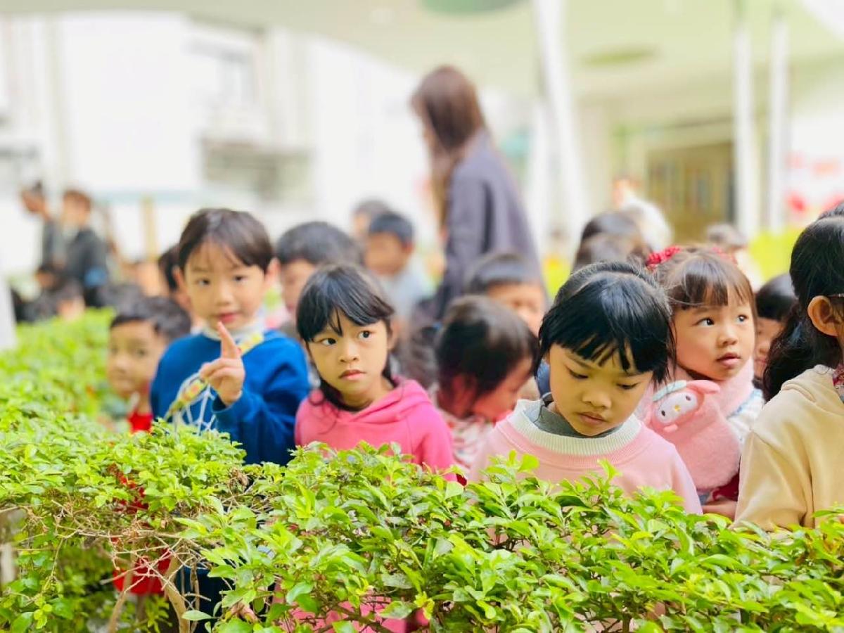 40a92b1a-cc50-4497-bef2-a734a32db651