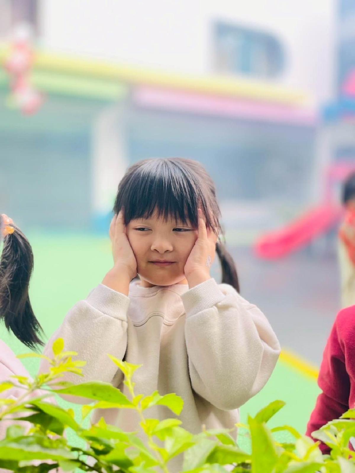 d19d387a-0af4-4742-ae0c-2b999babfb7e