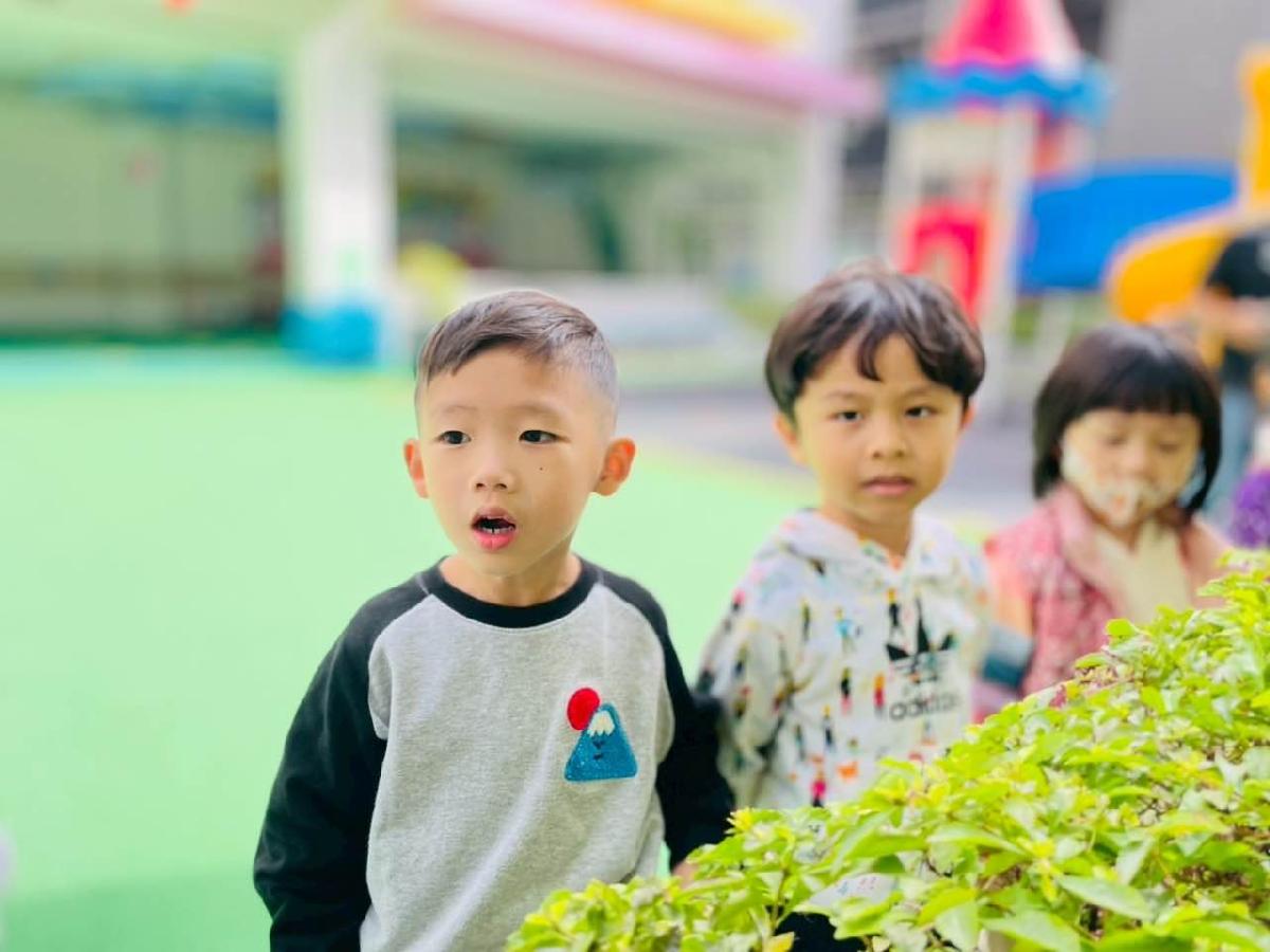 4802557f-75f8-4c64-8319-86d5179a3e2a