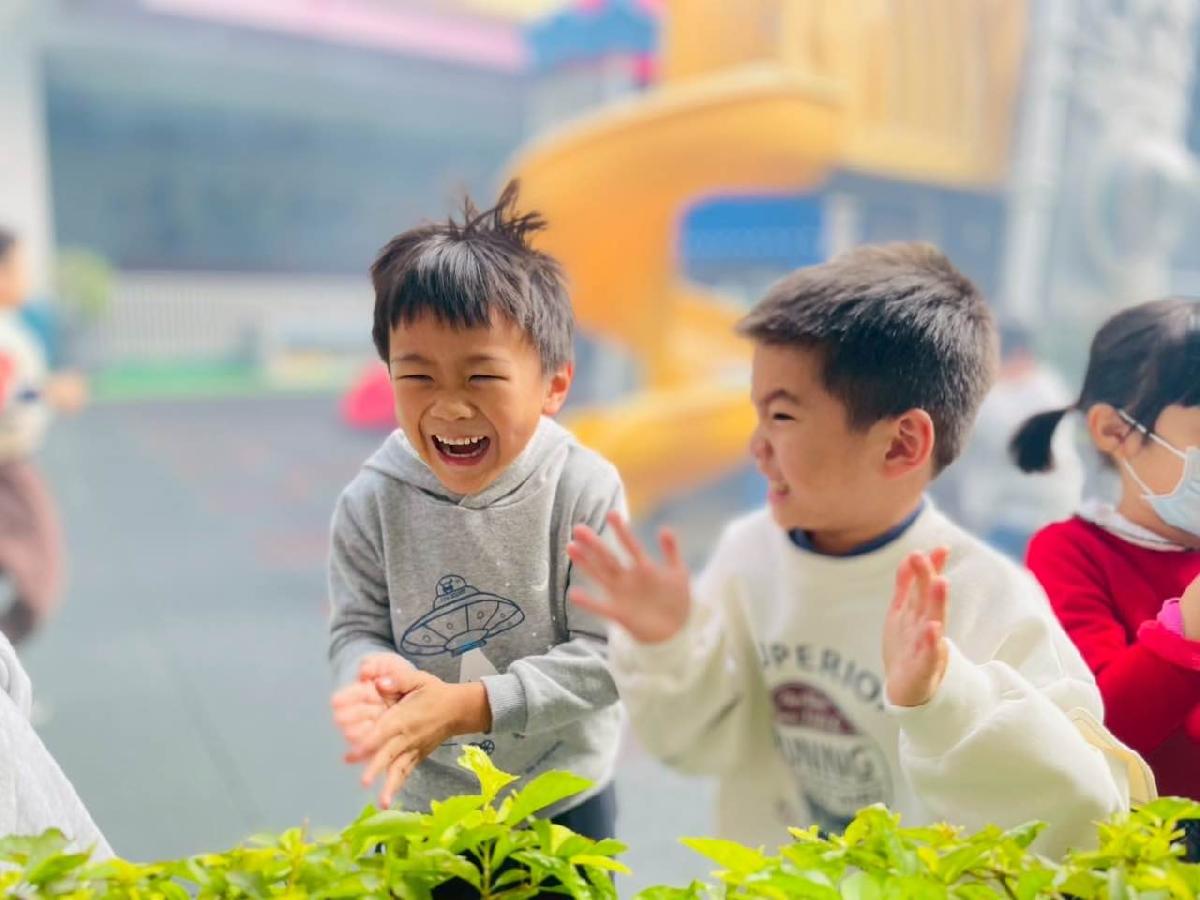 a4b5cdcc-a54c-4aec-8b32-51662f90e6a1