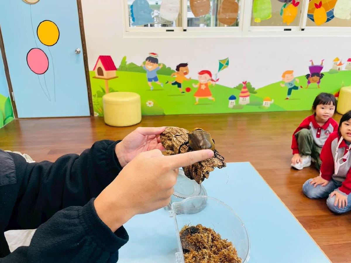 42fd77f1-b112-475c-839f-bd432fd7395a