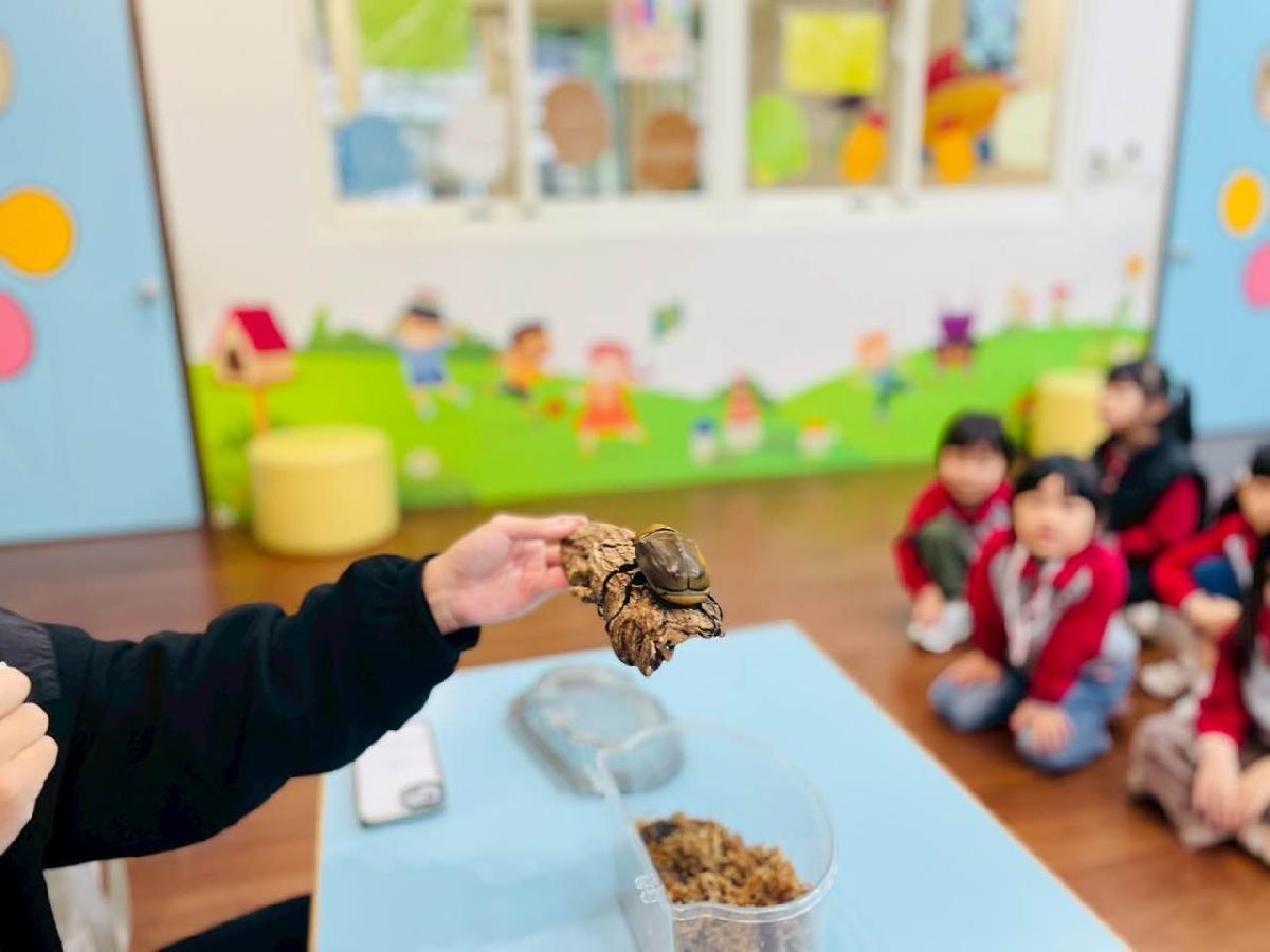 6bc0f036-6b3d-4d6d-be6a-e01362b634ae