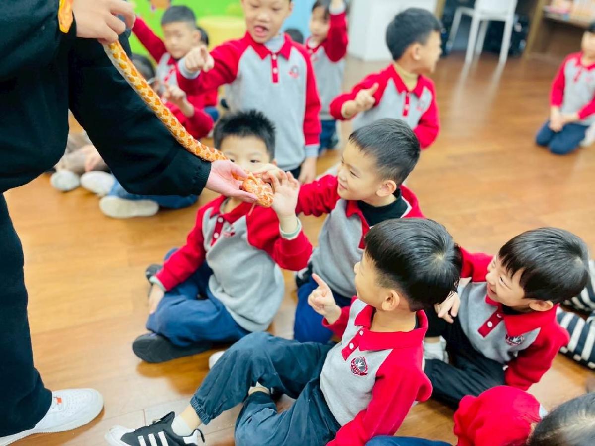 3fc5e0d0-f824-416b-bfdf-21f7924bf13f