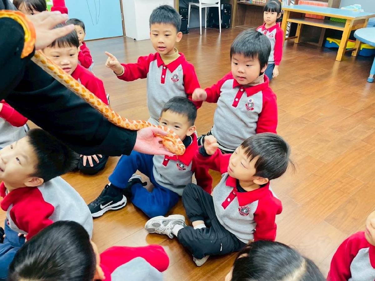 8e78e842-113f-4ef7-831f-b99b648204c5