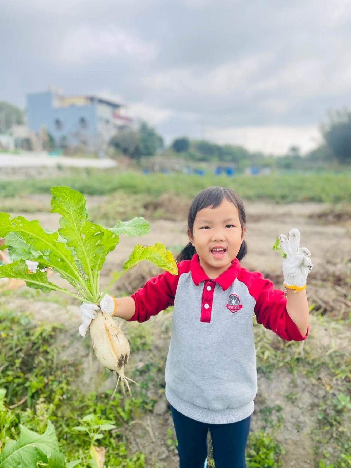 925fe941-8faf-4ecd-a19d-34460d7c08f8