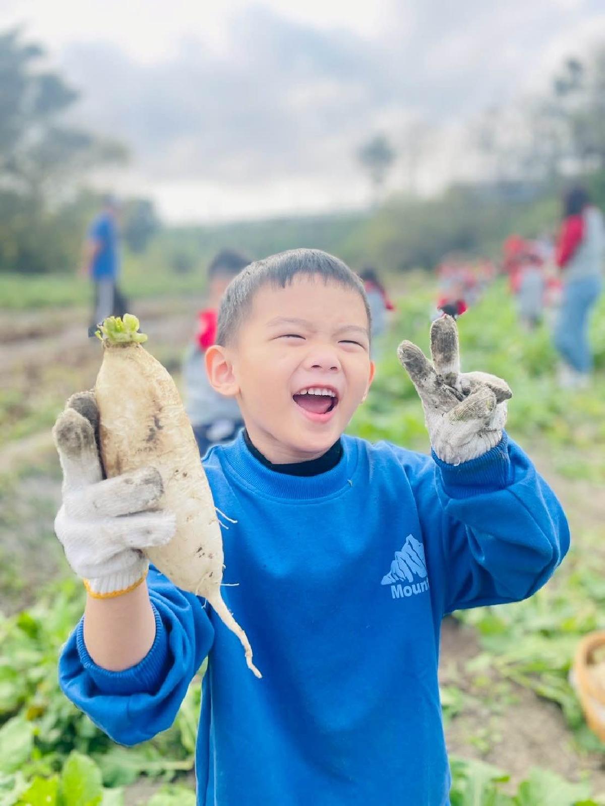 01a1219a-63a1-4797-8b46-19eb6907a6e3