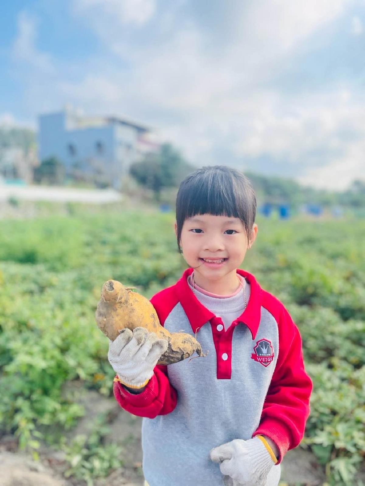 5738870a-5a2b-4568-86d8-825072ebcd6b