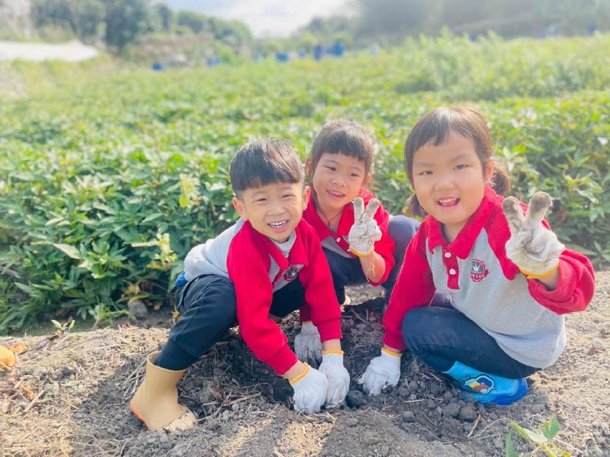 d4a0bb4d-afbd-4077-89b5-c5421faf1a96