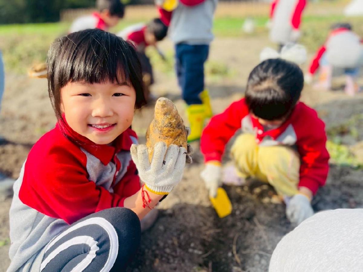 175bec69-c4e1-4880-9729-90c450559a1a