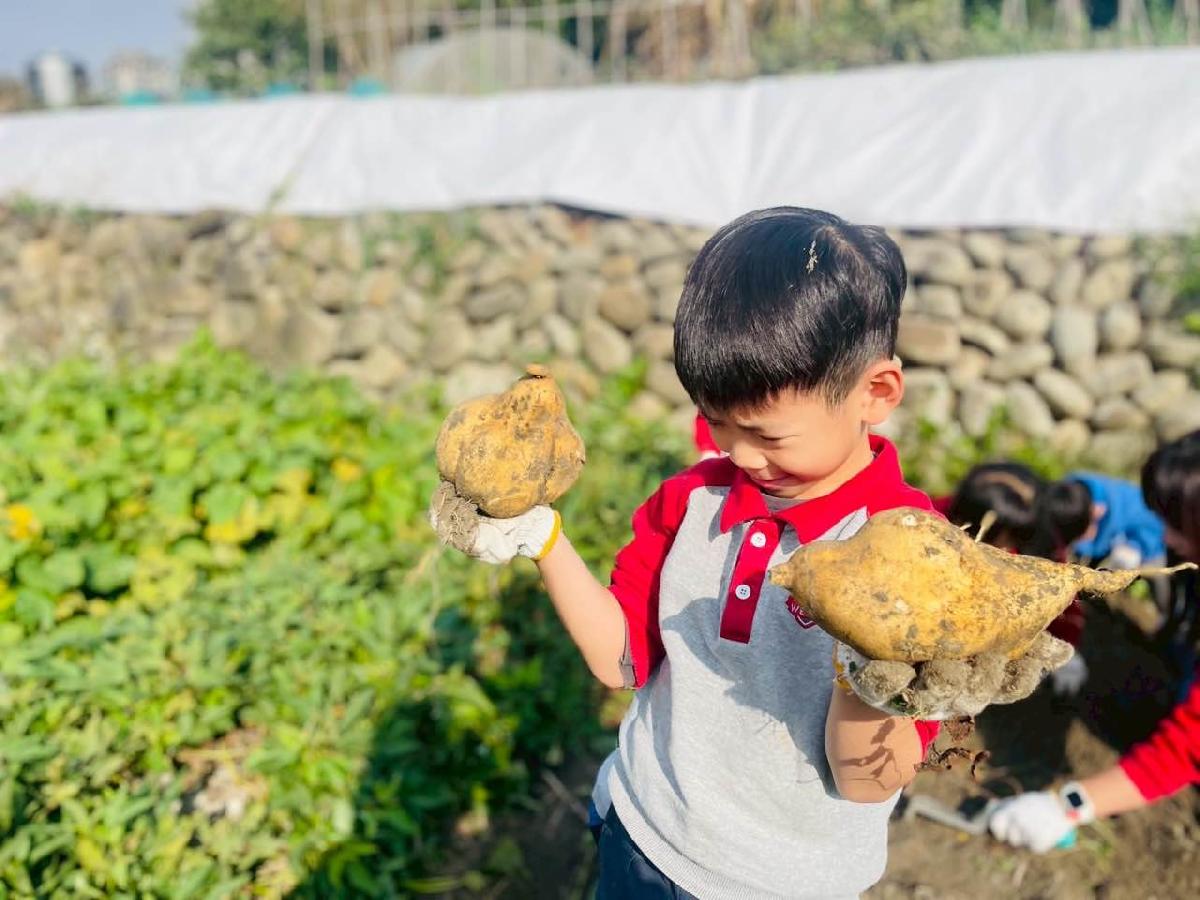 da37b7fb-dd07-4be2-a4af-ab207ff1d9c5