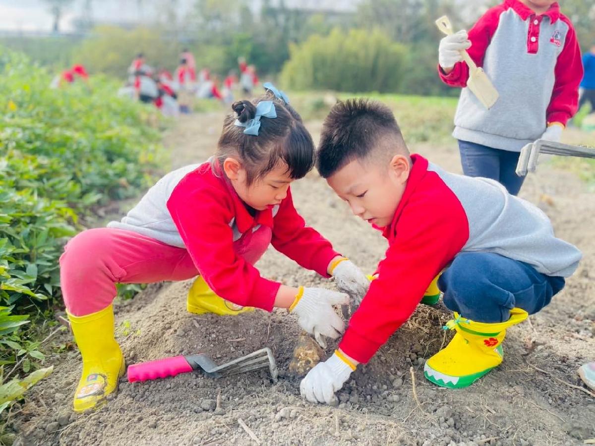 869ecf30-c318-427a-ae96-be92ec81c7fb