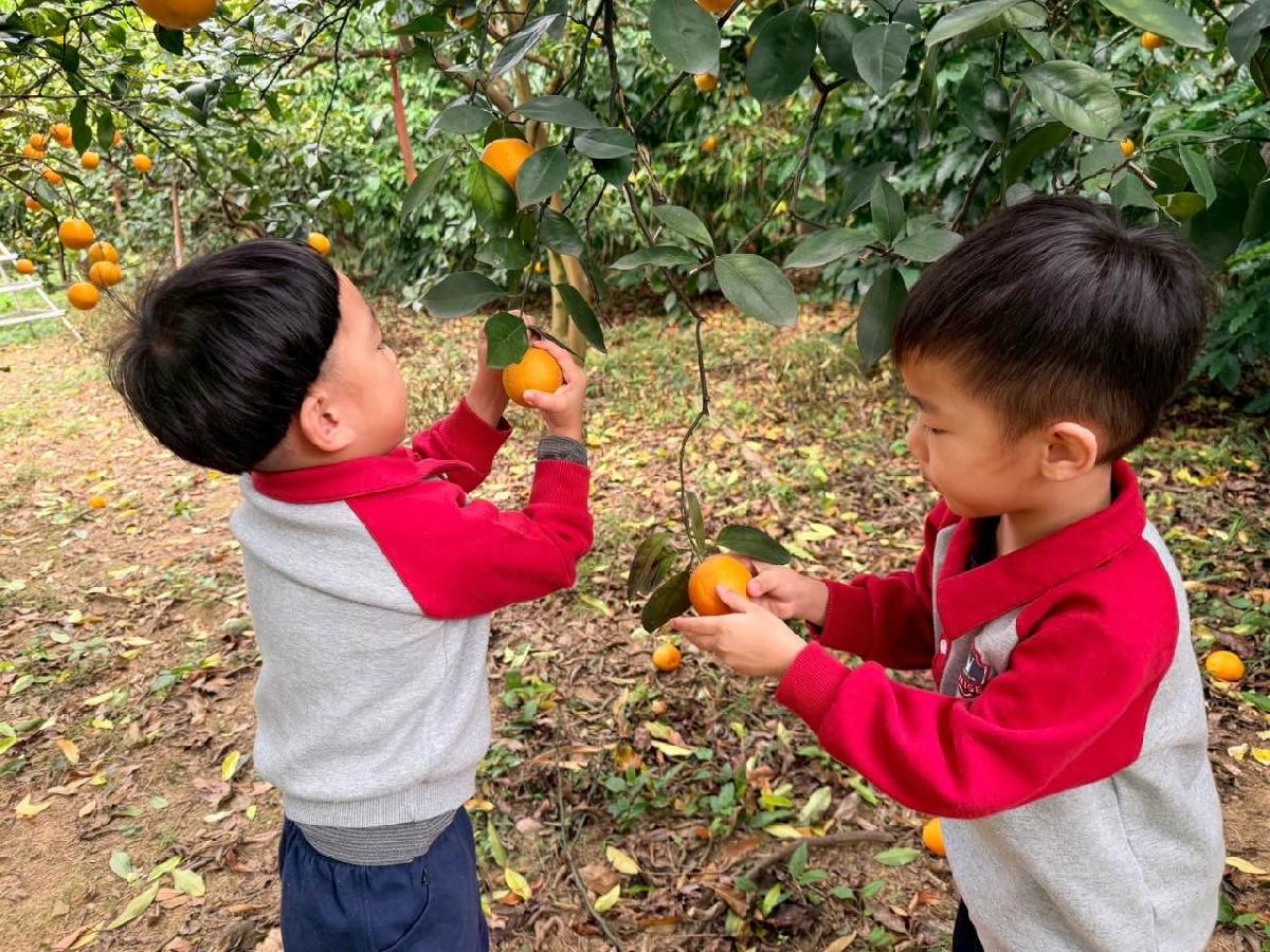 d5eeaeb7-960d-4700-b165-686c505ecab3