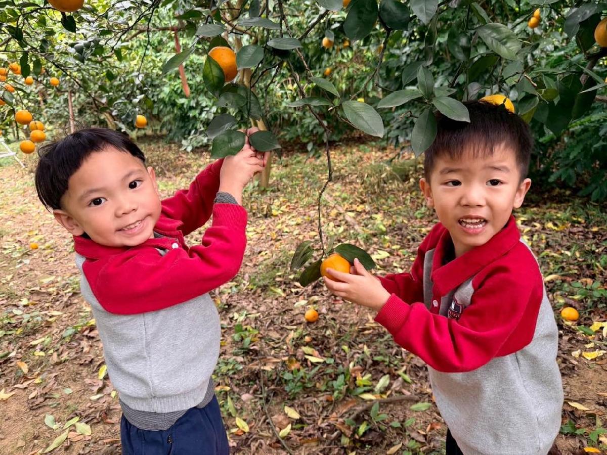 be0db3fd-826c-4c2b-a8dc-9a265ef636ab