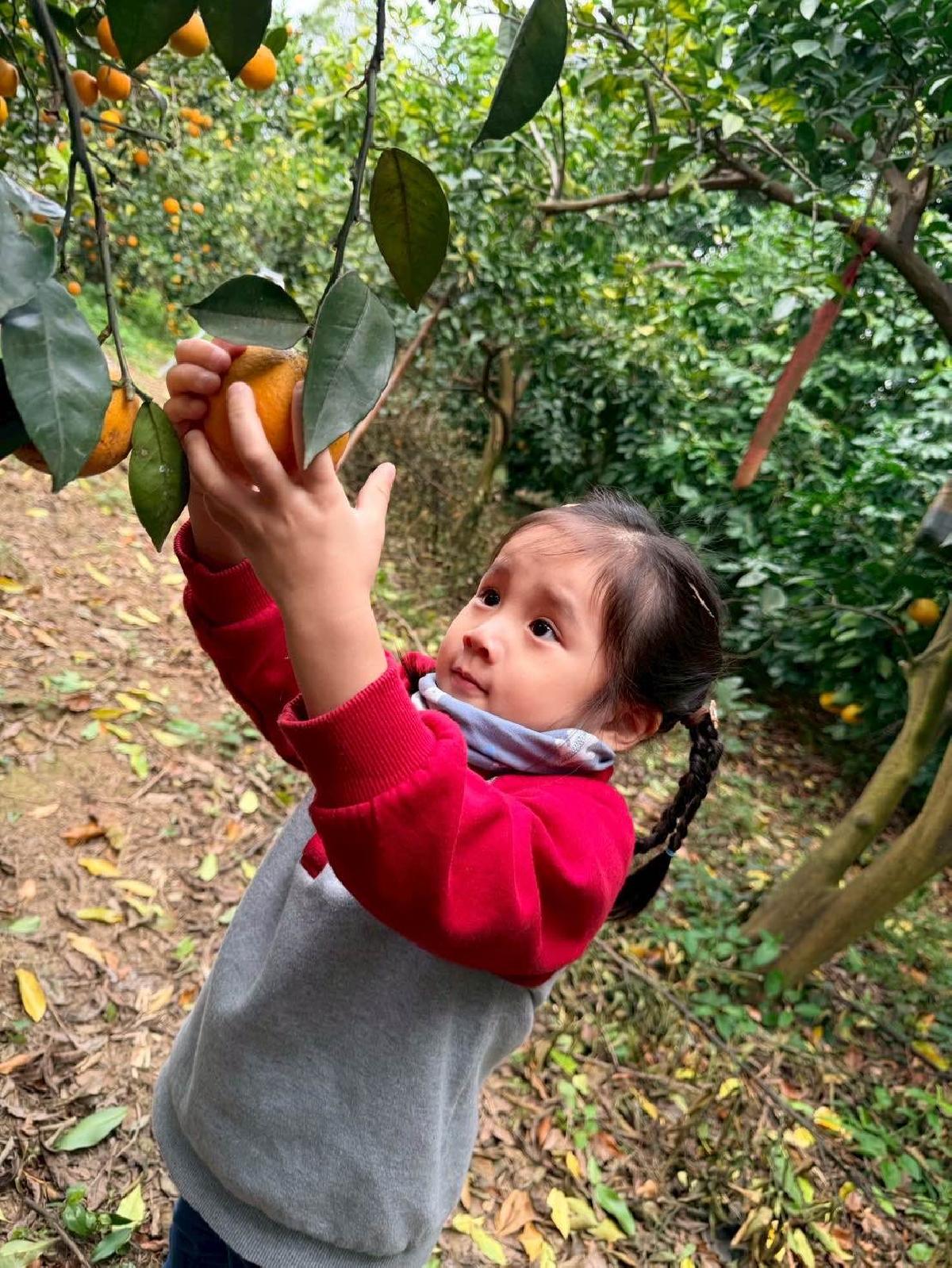 e659f55a-79d6-4f28-84a4-24cedf644b6d