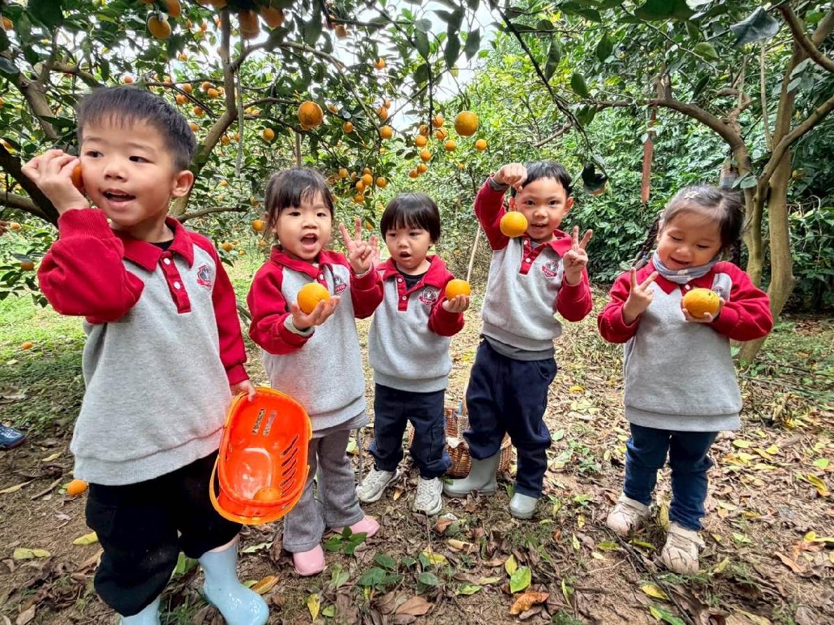 6bb4ee2d-0edf-4a12-a0af-1f31307de05a