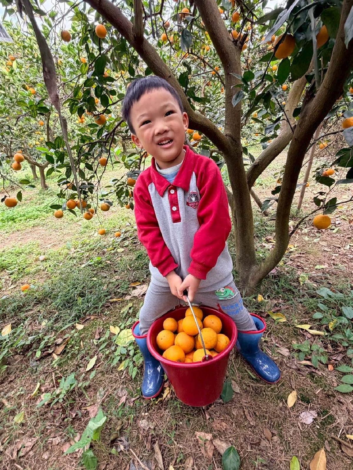 b55446b3-b7ac-4b14-87b7-048137580fe4