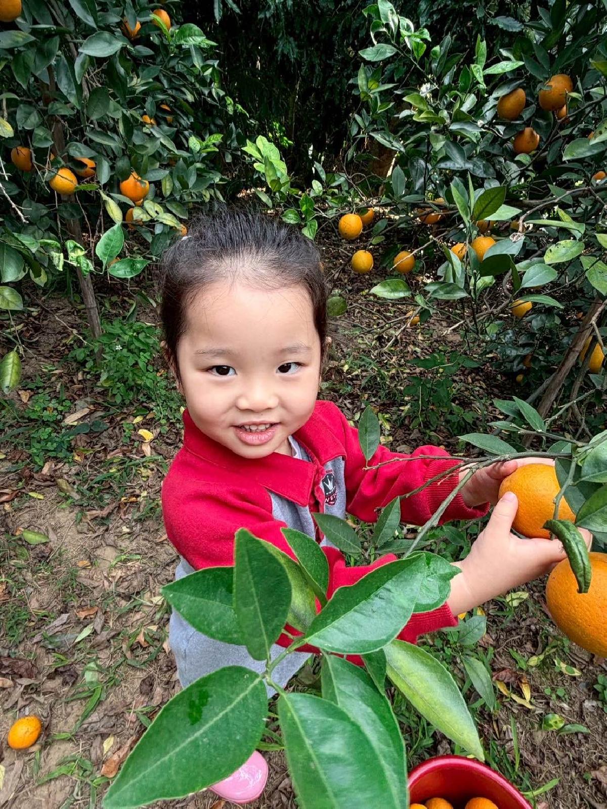 5208d75f-caf8-4e54-b7de-8cb6869c9fc7