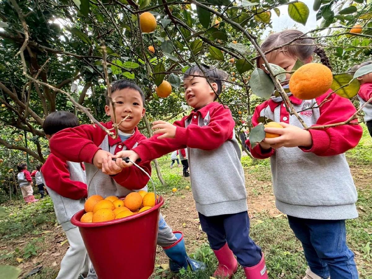 743879a1-050a-41e5-b116-e8740e94749d