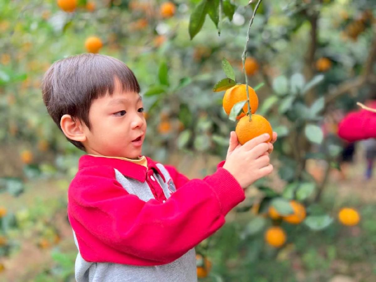 2bbded63-0d2e-4be9-9f96-f4efa861e36f