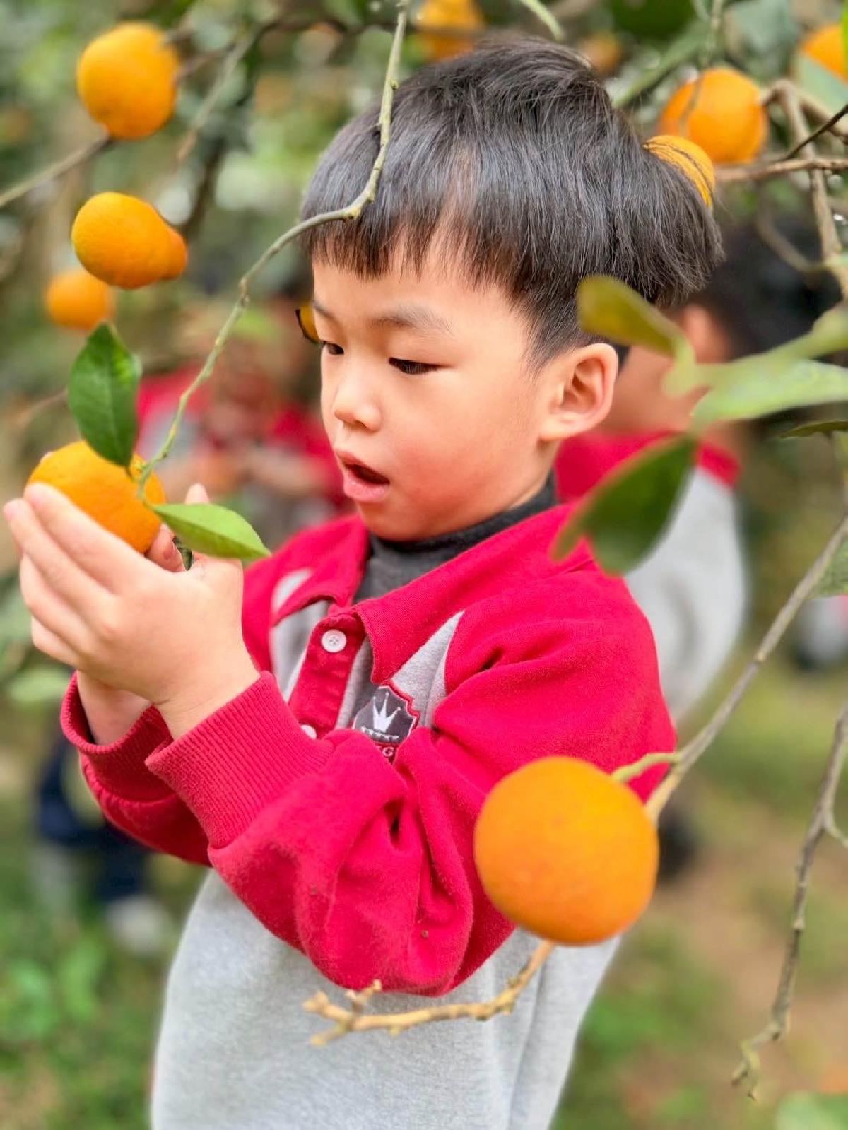 2faa7a0a-ae62-4ad1-afb8-db0d8884789e