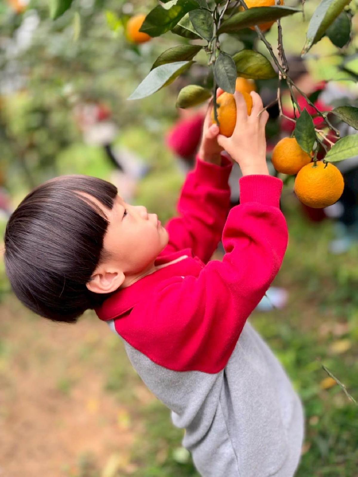 7c1e1463-601a-48a1-b00f-bf15bce02c64