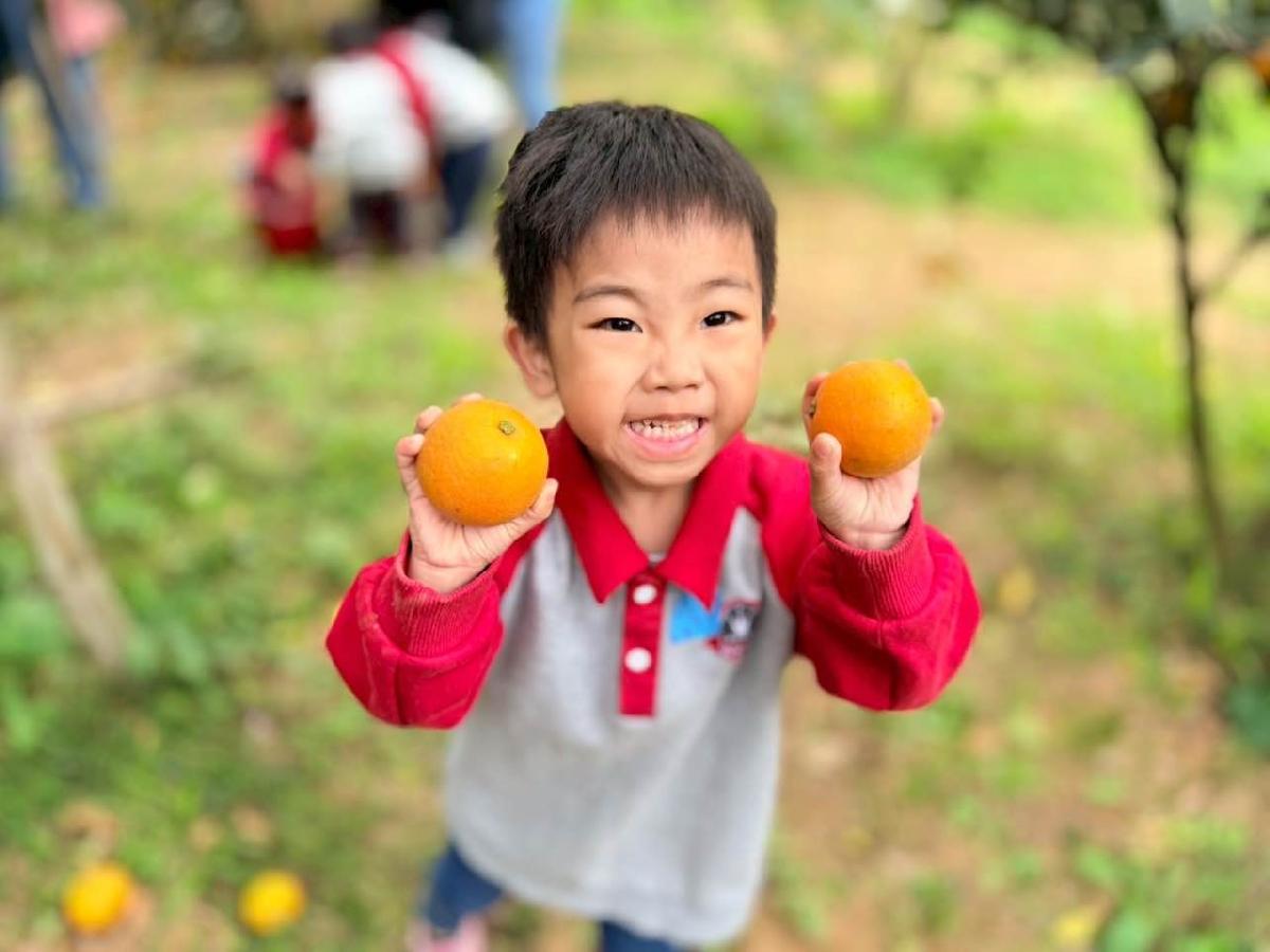 a44c5245-9c22-4b75-b276-61ba8adf8f46