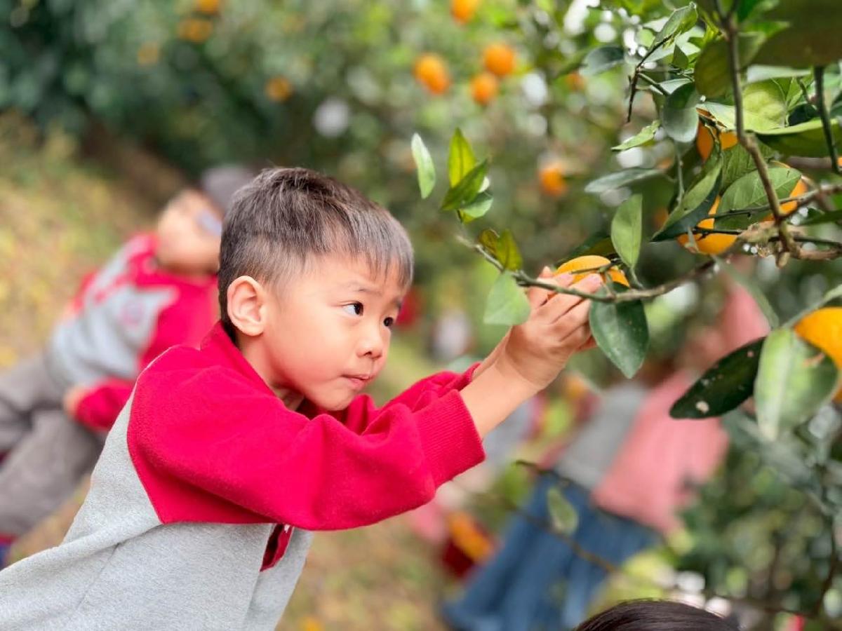 63177e1e-024e-4bd1-9e17-69773eb55322