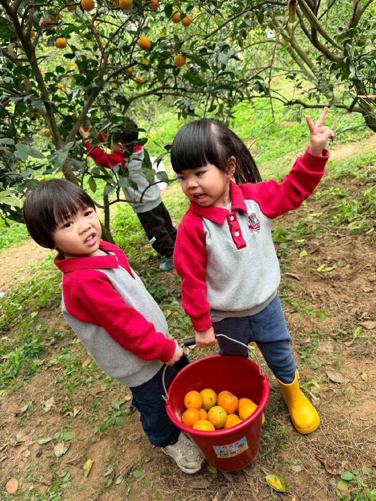 9655ee2b-b3c0-446c-ac3f-c3803245314c