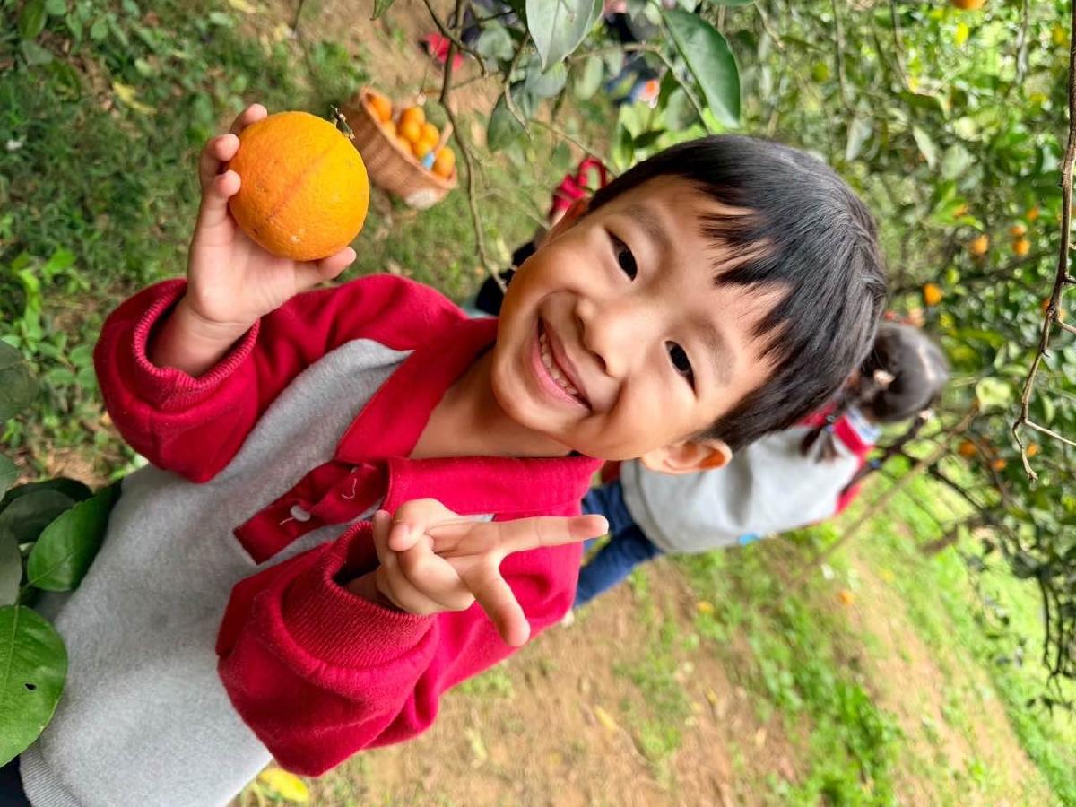 57085686-0516-4ba0-97a8-89288cad7dcb